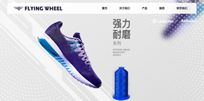 石獅市飛輪線(xiàn)帶織造有限公司網(wǎng)站建設