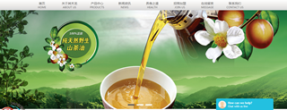 廈門(mén)其禾龍食品有限公司網(wǎng)站建設