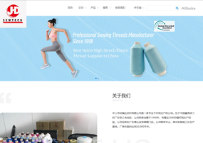 中山市經(jīng)瀚達紡織有限公司網(wǎng)站建設